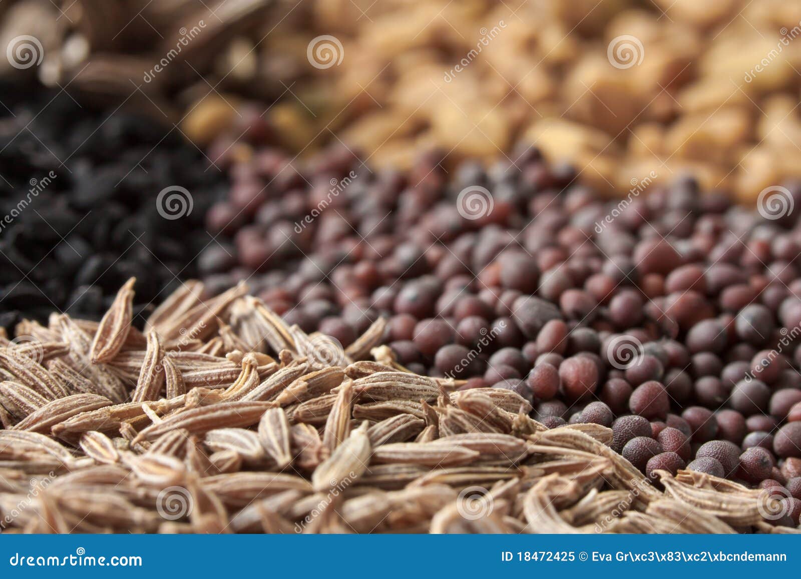 Cumin Seed stock image. Image of cuminum, healthy, orient 18472425