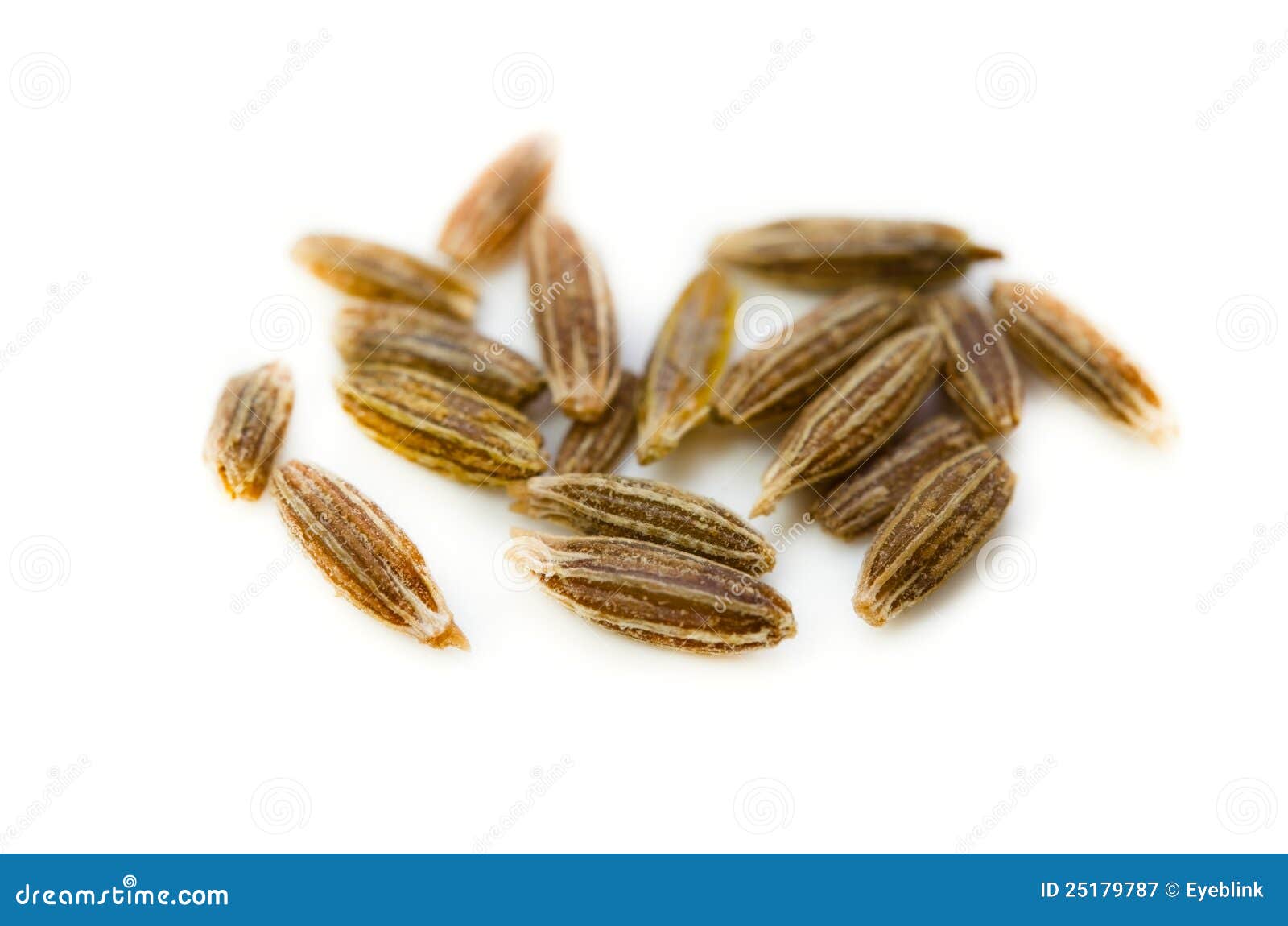 Cumin seed stock image. Image of herb, cumin, plant, eating 25179787