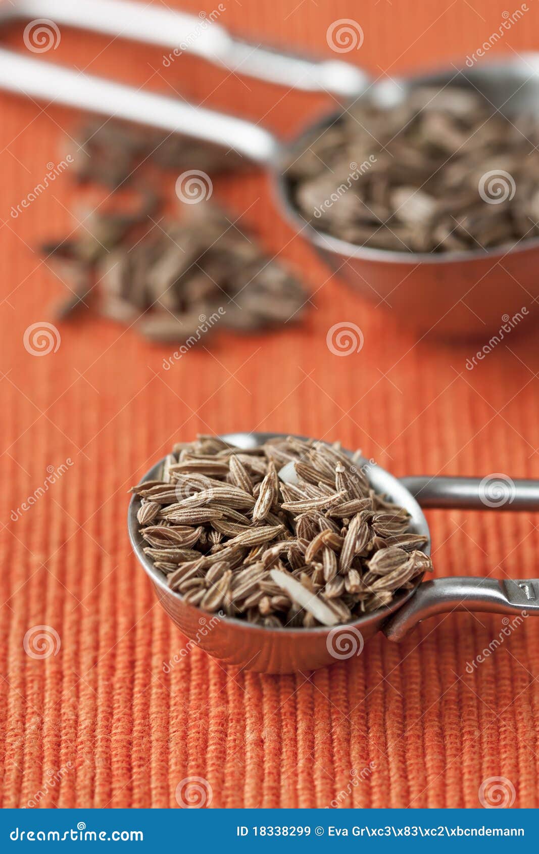 Cumin Seeds stock image. Image of cumin, indian, focus 18338299