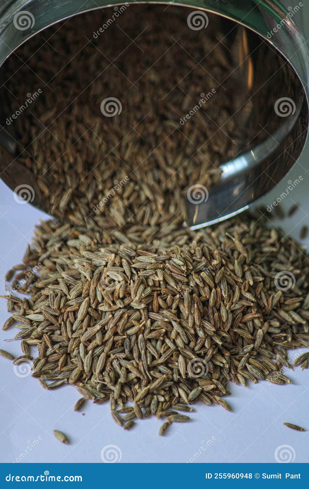 Cumin seeds stock photo. Image of spice, board, tasty 255960948