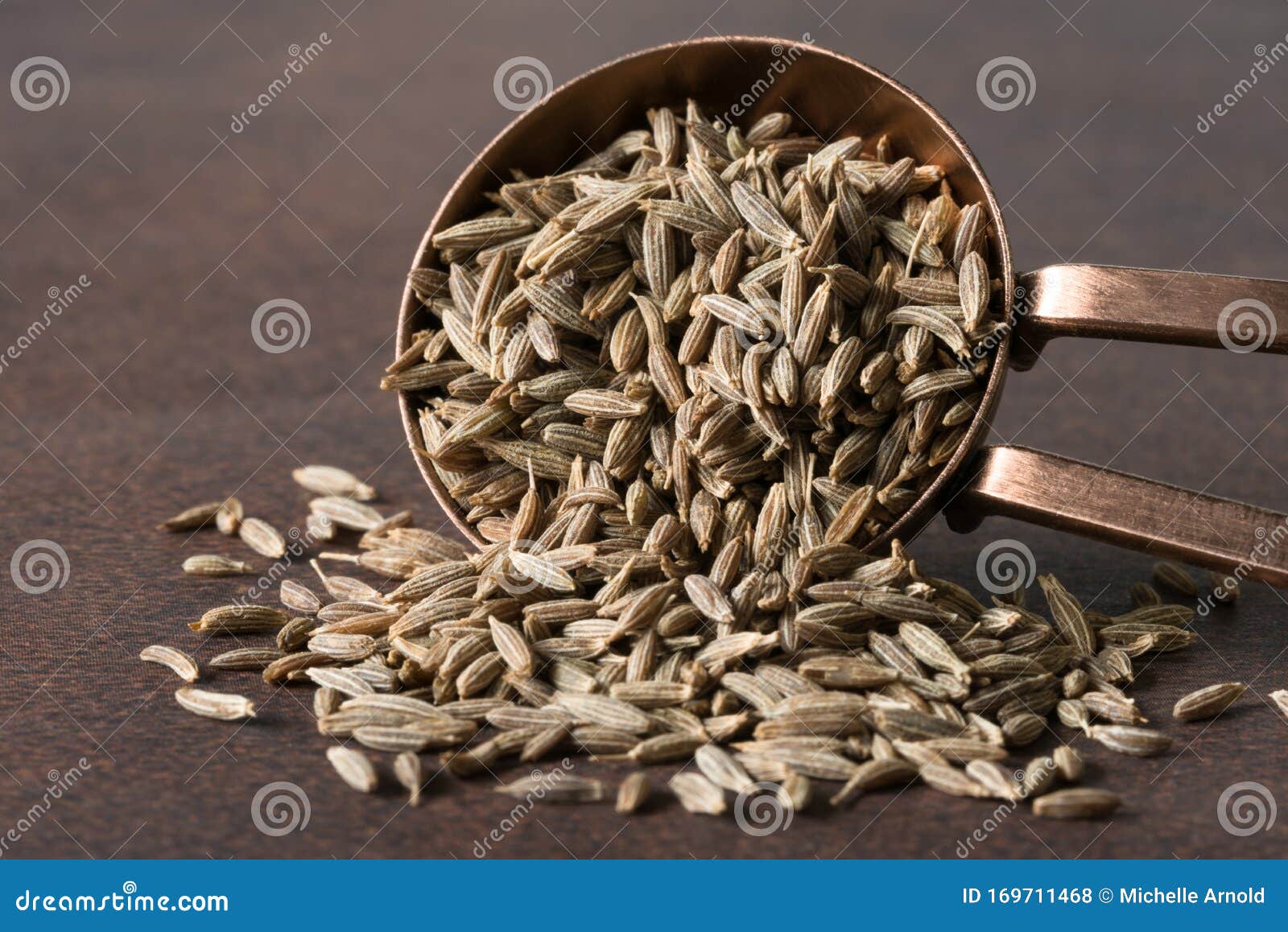 CUMIN Seeds Plant Jeera Tree Jira Farm Jeera Biz Fluffy Volume Bush Of