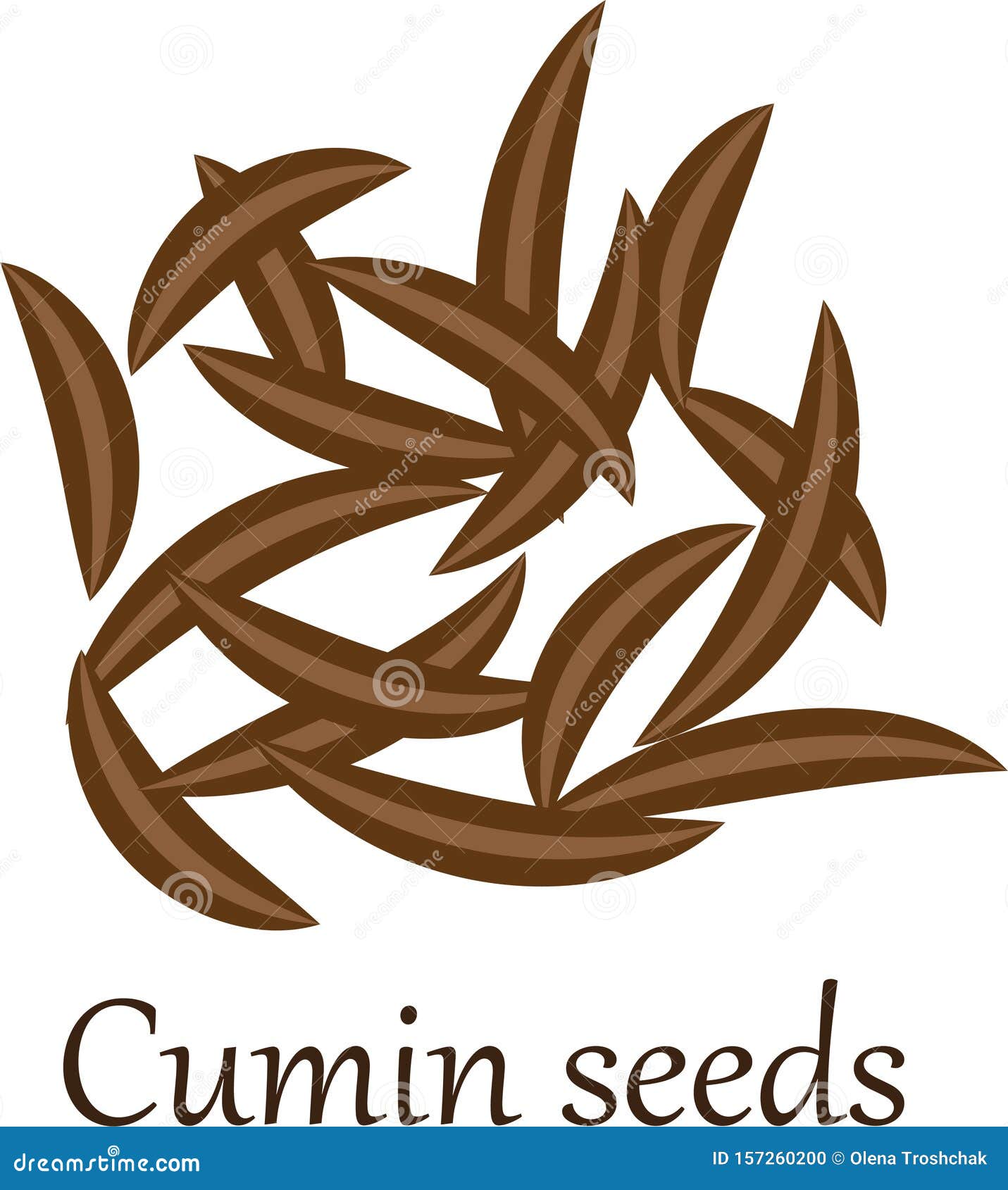 Cumin Seeds Isolated On White Background. Watercolor Illustration