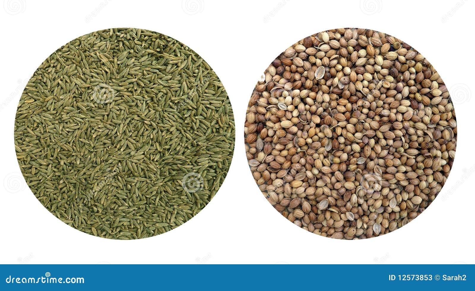 Cummin and coriander seeds stock image. Image of culinary 12573853