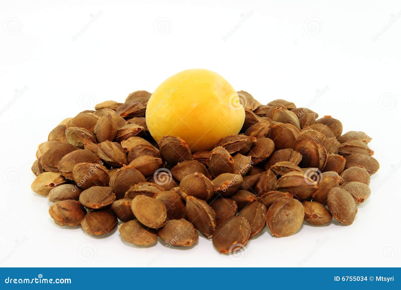 Cumulated apricot pits stock photo. Image of selective 6755034