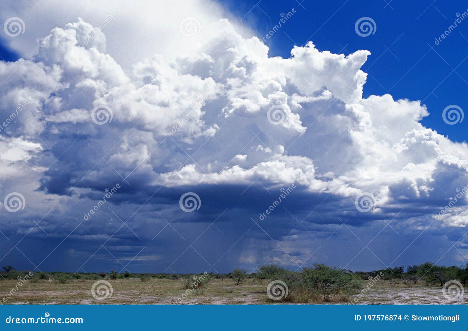 cumulo nimbus cloud in namibia