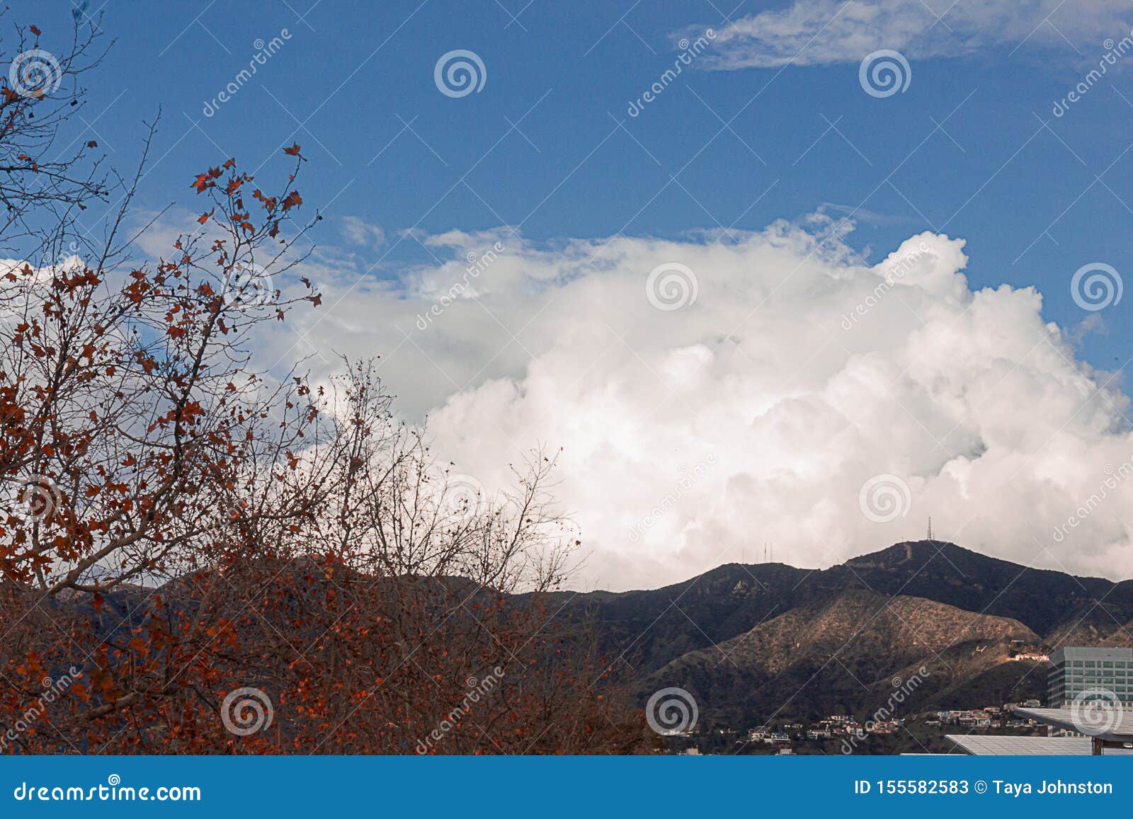 cumulos, nimbus, clouds with angeles crest mountains, buildings, and sycamore tree