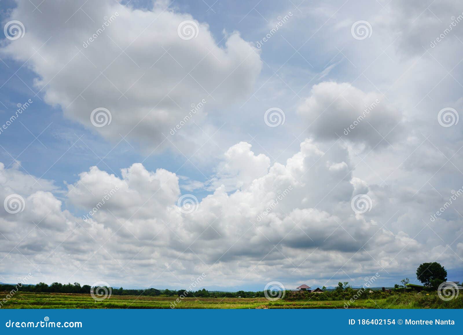 cumulus clouds are puffy clouds that sometimes look like pieces of floating cotton.