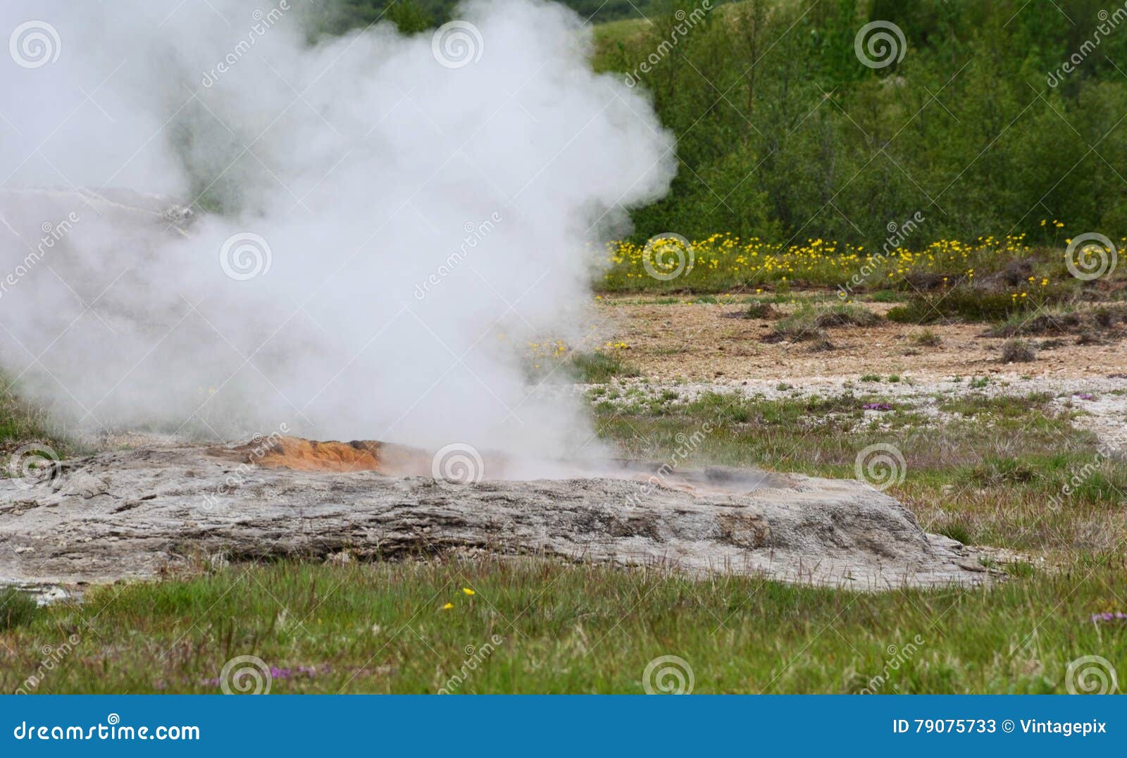 Cuocia a vapore l'aumento dalla terra nell'area geotermica. Cuocia a vapore gli sfiati dalla terra nelle pianure geotermiche a Geysir in Islanda