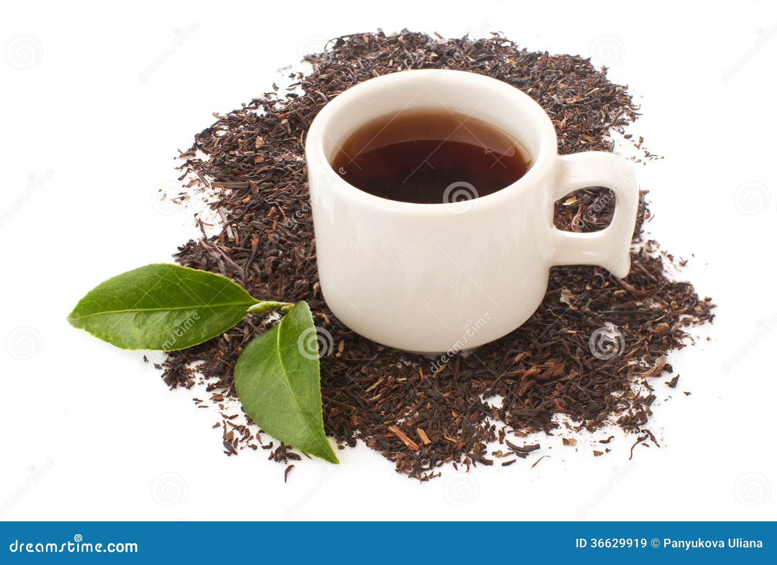 Cup of Black Tea and Dry Leaves Stock Image Image of drink, indian