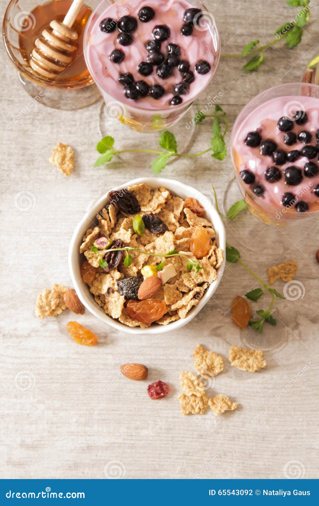 Cup of Blueberry Yogurt with Granola and Honey Stock Photo Image of
