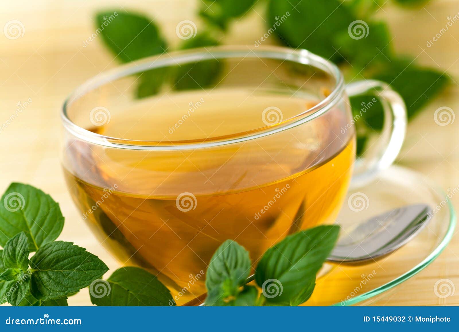 Cup of Brown Tea on the Saucer with Mint Stock Photo Image of branch