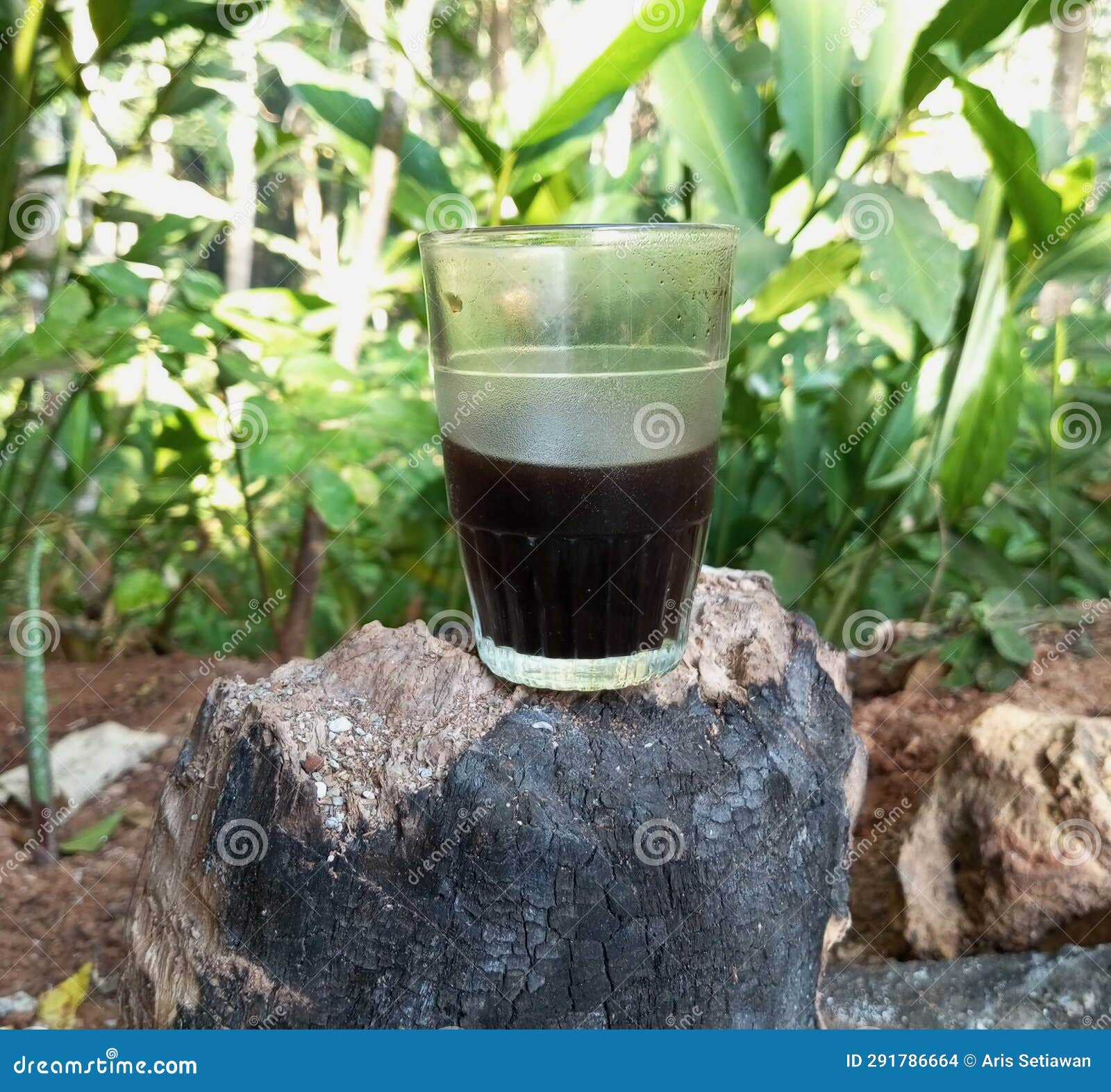 A Cup of Coffee in the Morning Stock Photo Image of black, backyard 291786664