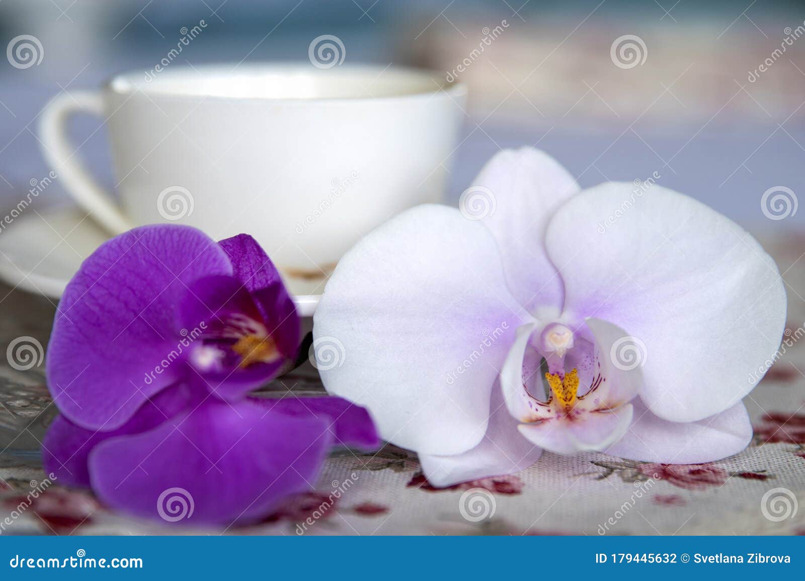 Cup of coffee and orchids stock photo. Image of refreshing 179445632
