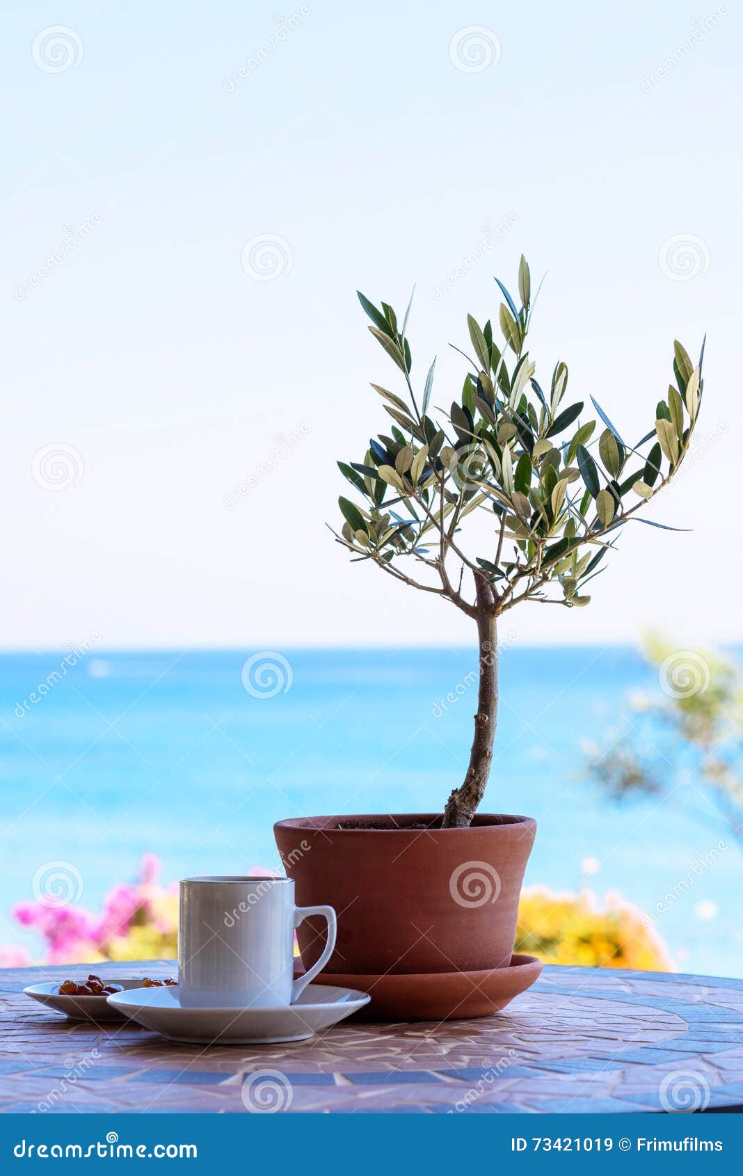 Cup of Coffee on a Table with Olive Tree Stock Image Image of relax