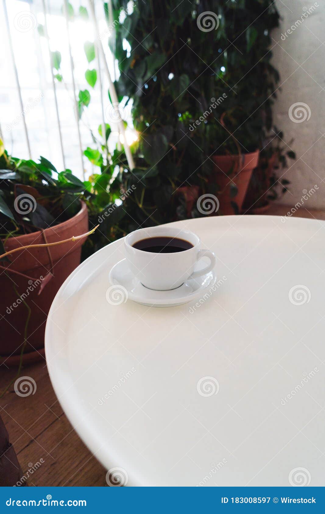 Cup of Coffee on the White Table with Green Potted Plants Stock Image