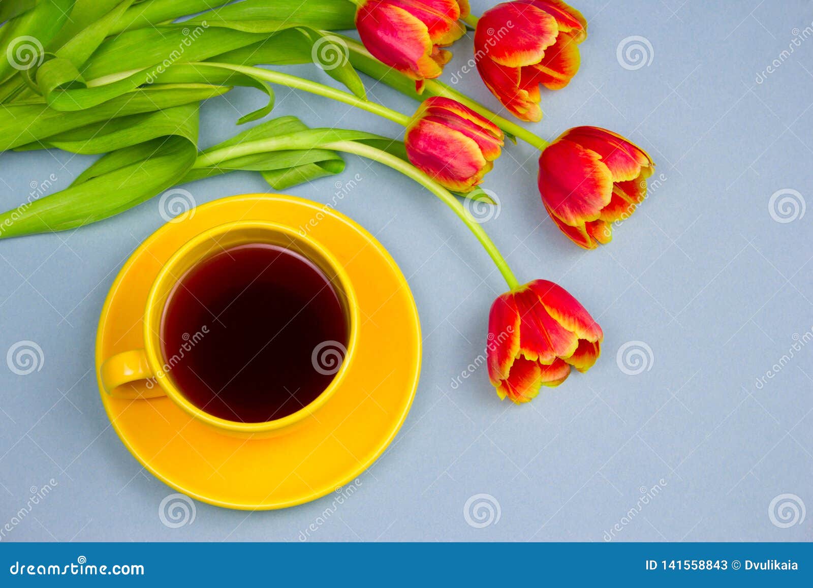 Cup of Drink and Tulips on Pastel Blue Background Stock Image Image