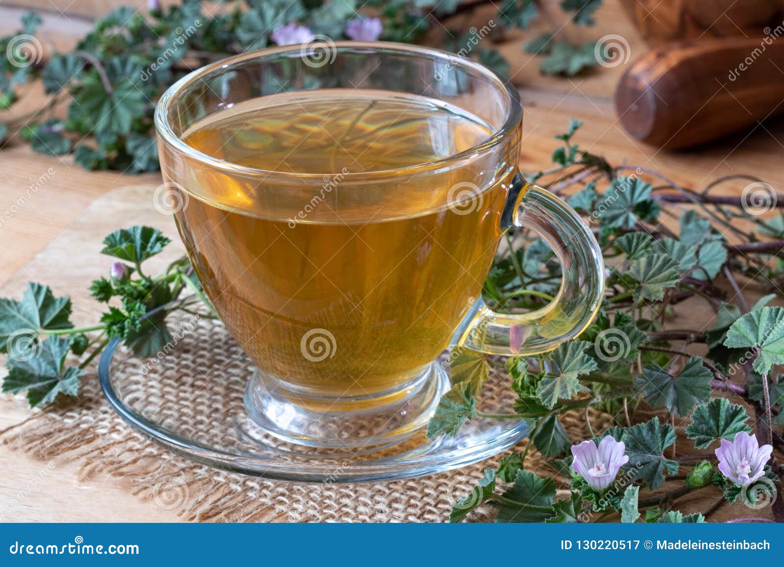 A Cup of Dwarf Mallow Tea with Fresh Blooming Dwarf Mallow Plant Stock