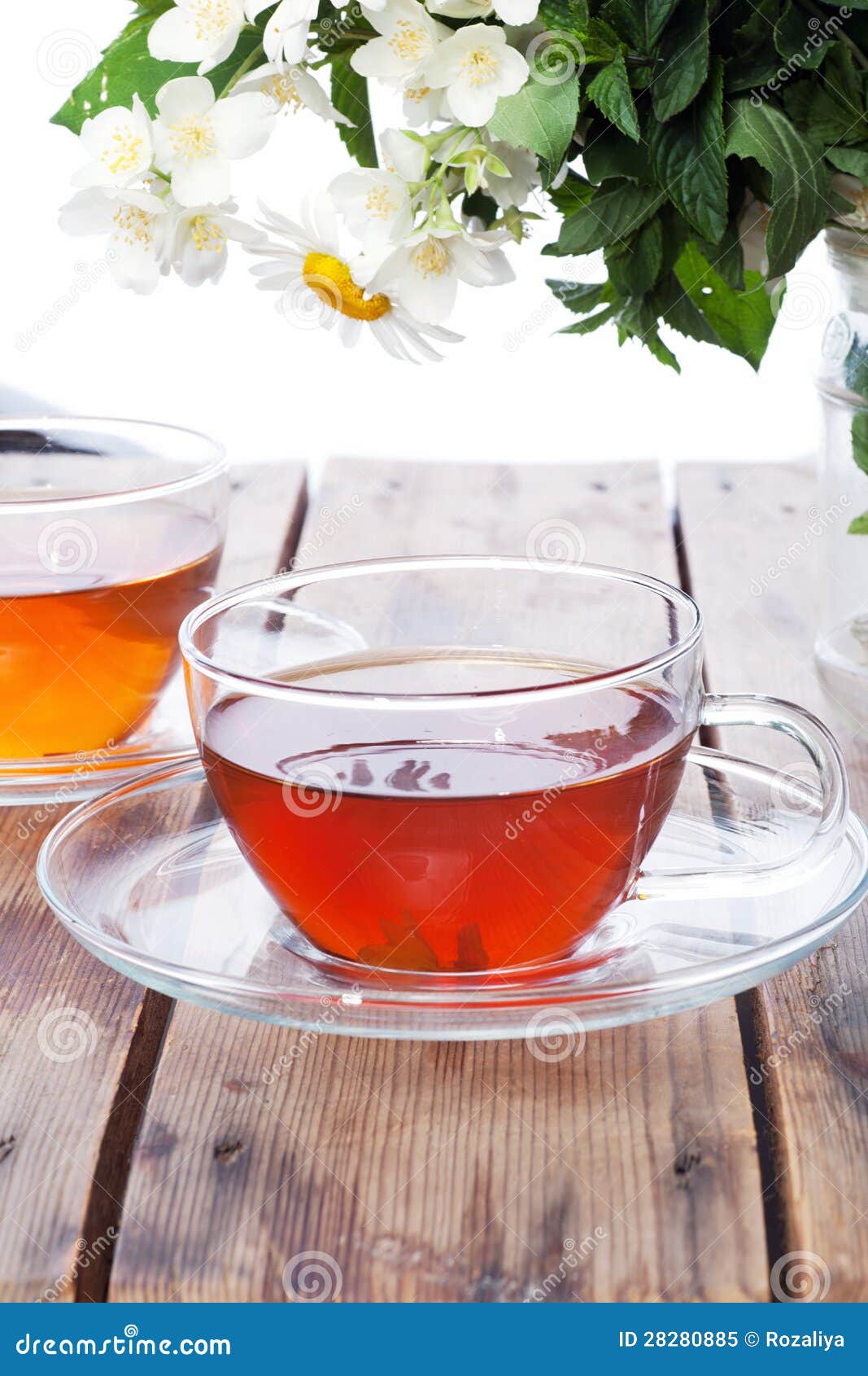 Cup with Green Tea and Fresh Herbs Stock Image Image of health, leaf 28280885