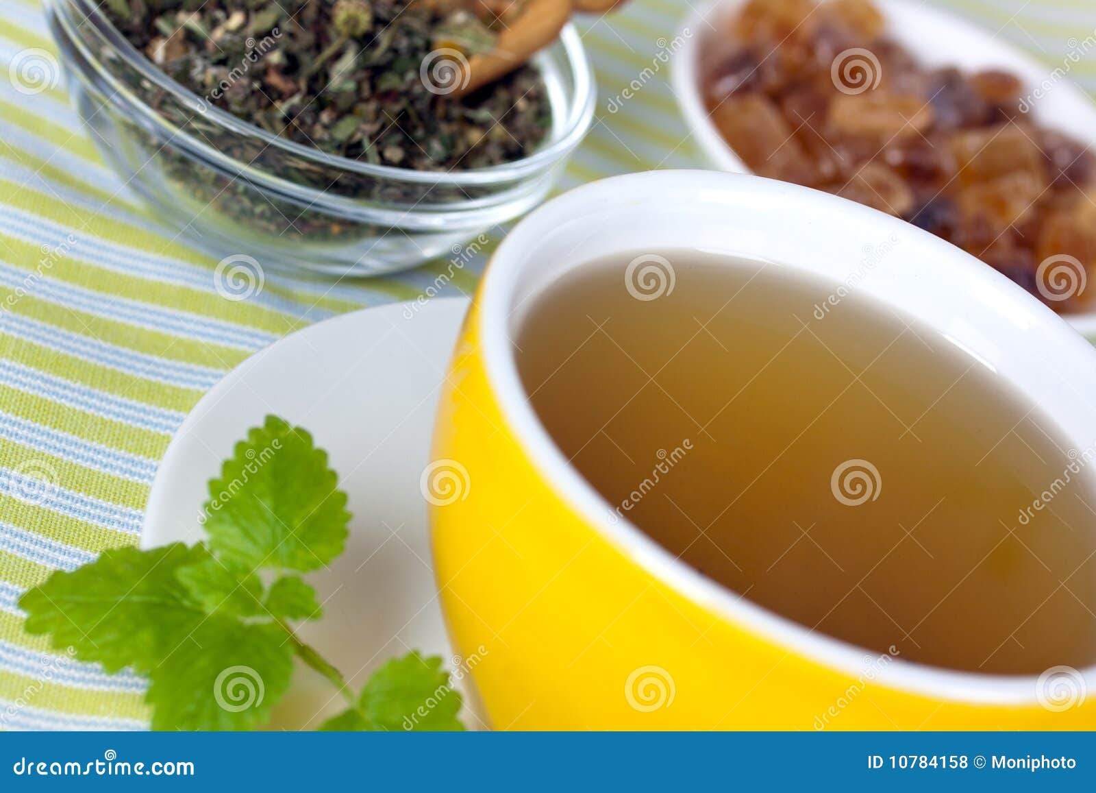 Cup of Green Tea with Herbs and Candy Stock Photo Image of foods