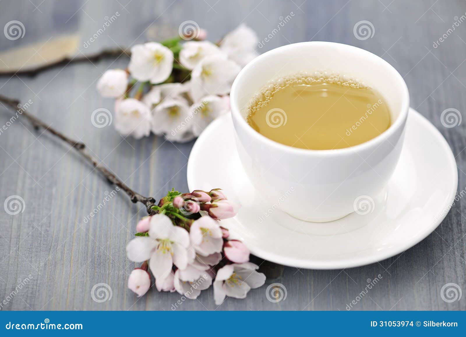 Cup of Green Tea and Japanese Cherry Blossom Stock Photo Image of