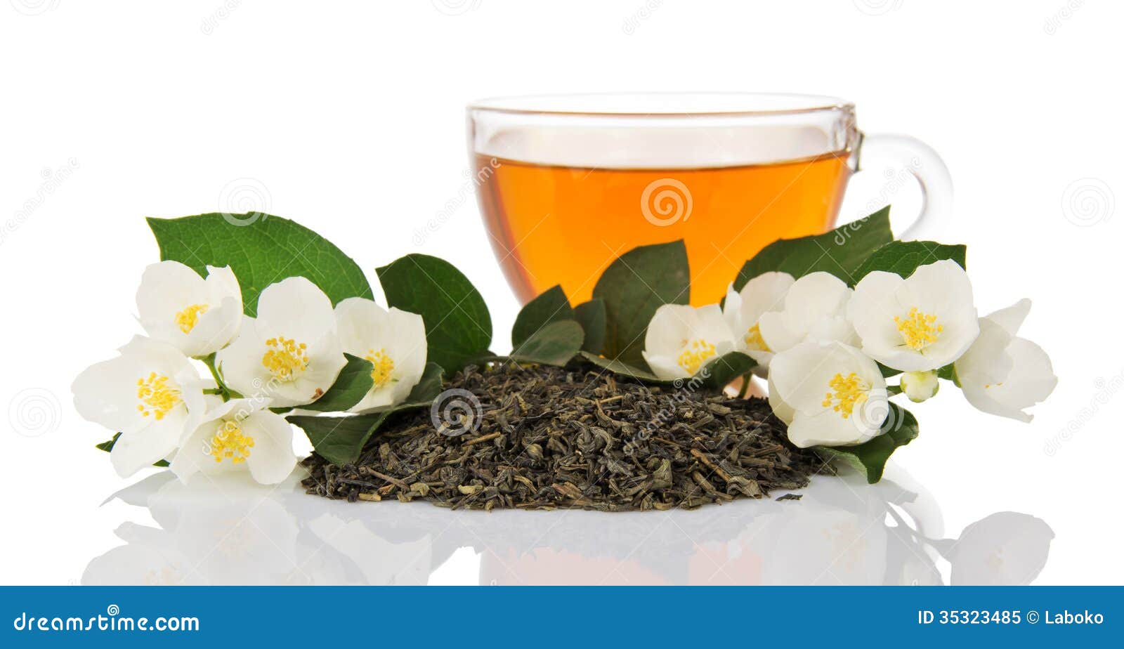 Cup of Green Tea with Jasmine Flowers Stock Image Image of color
