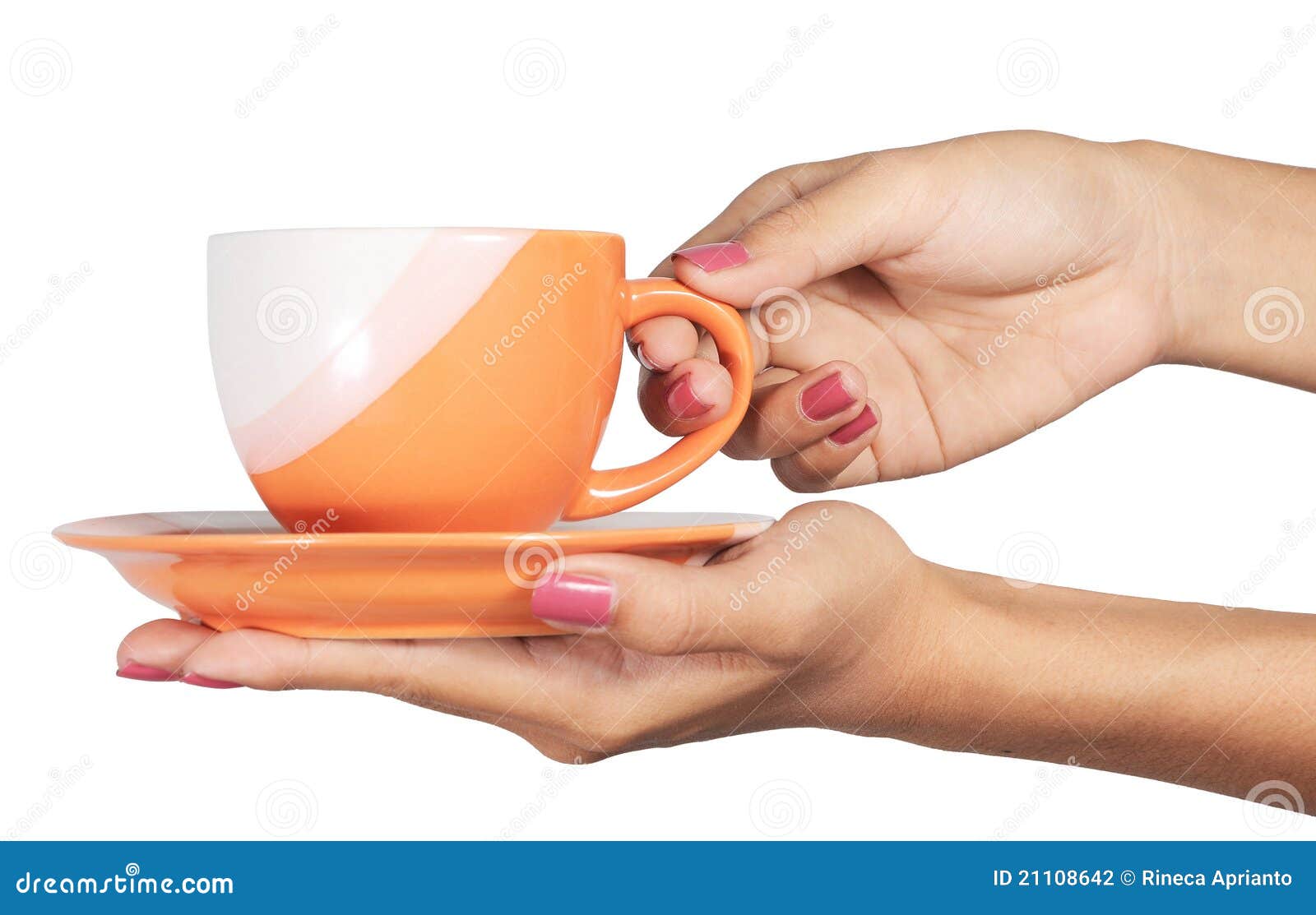 A cup in a hand stock photo. Image of giving, give, isolated 21108642