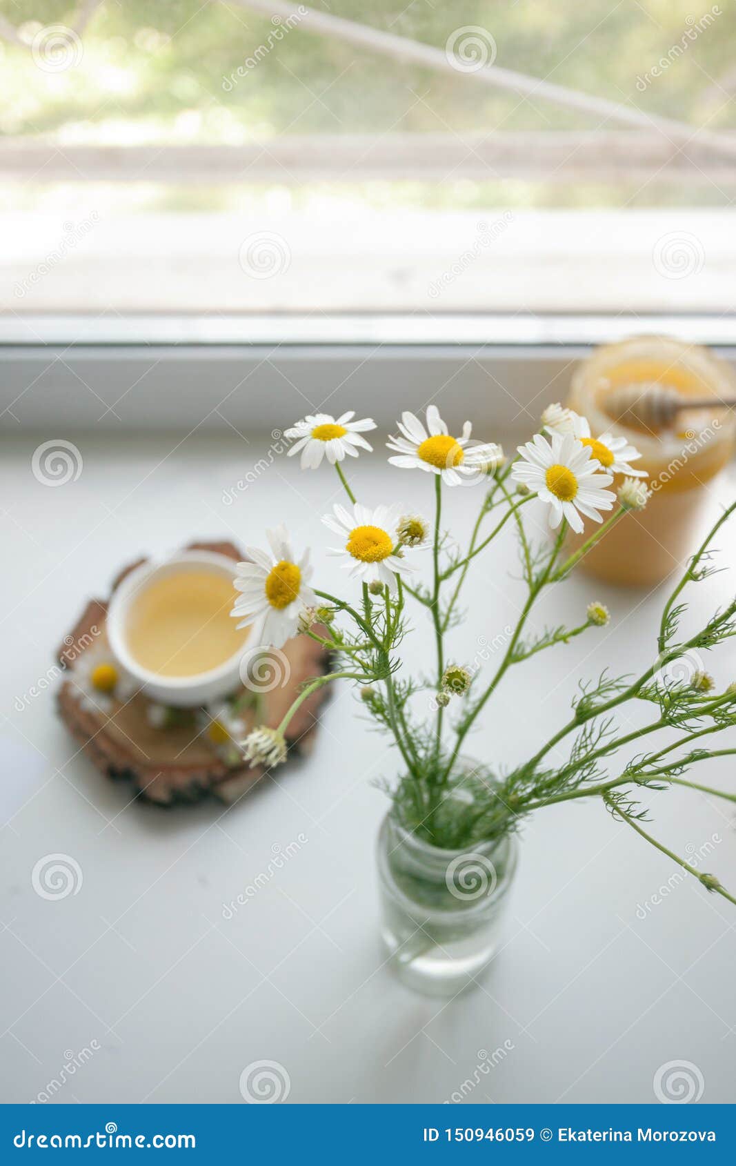 Cup Of Herbal Chamomile Tea On A Windowsill. Chamomile Tea In A Whitecup And Camomile Flowers. Herbal Tea For Baby`s Stomach, Stock Image - Image of camomile, herbal: 150946059 Cup Of Herbal Chamomile Tea On A Windowsill. Chamomile Tea In A Whitecup And Camomile Flowers. Herbal Tea For Baby`s Stomach, Stock Image - Image of camomile, herbal: 150946059