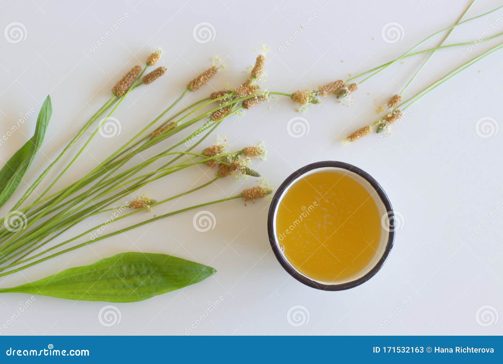 a cup of herbal tea against cough with fresh ribwort plantain leaves.hebal medicine. minimalism. beautiful spring