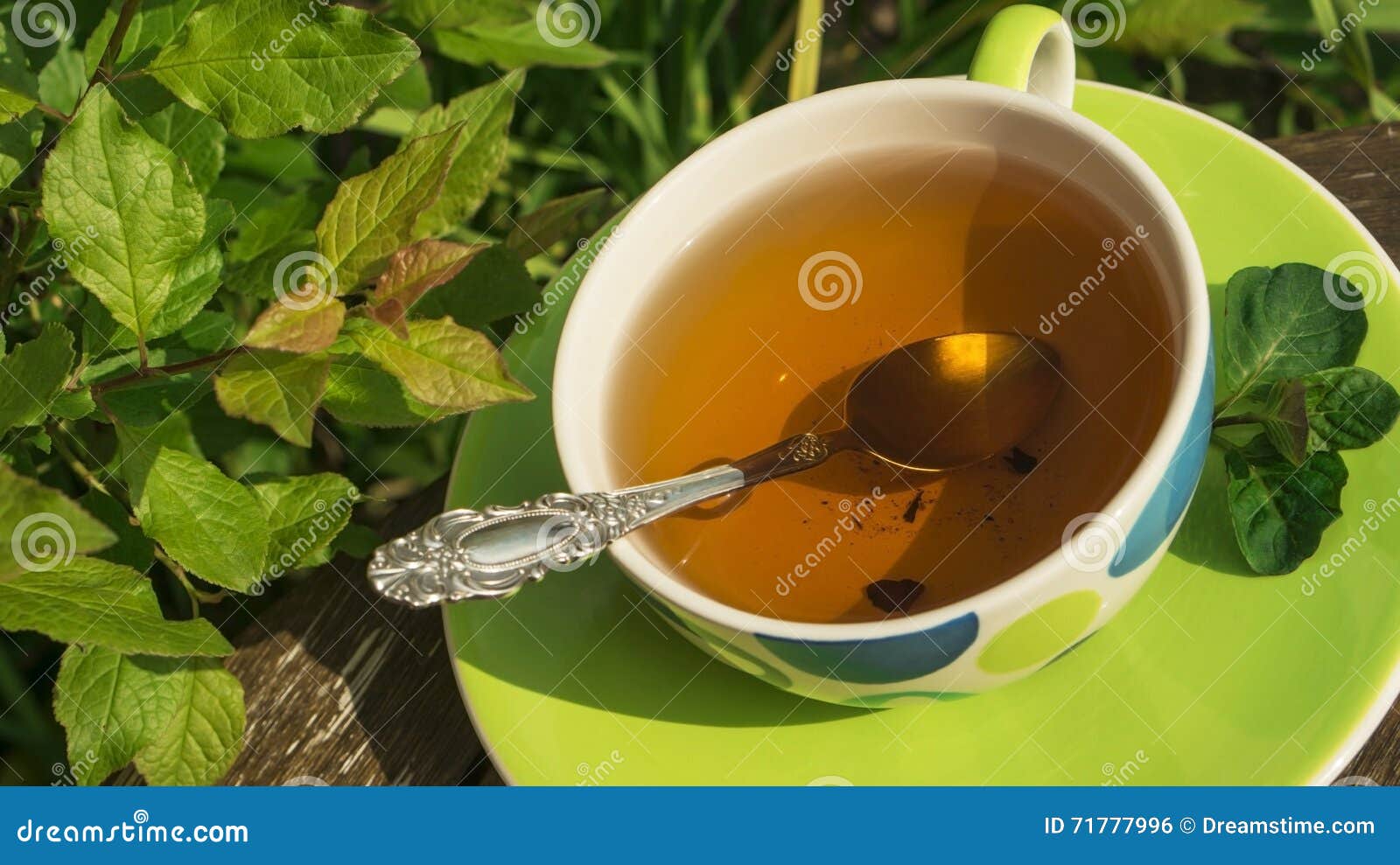 A Cup of Herbal Tea (brewed Raspberry and Blackcurrant Leaves) with a