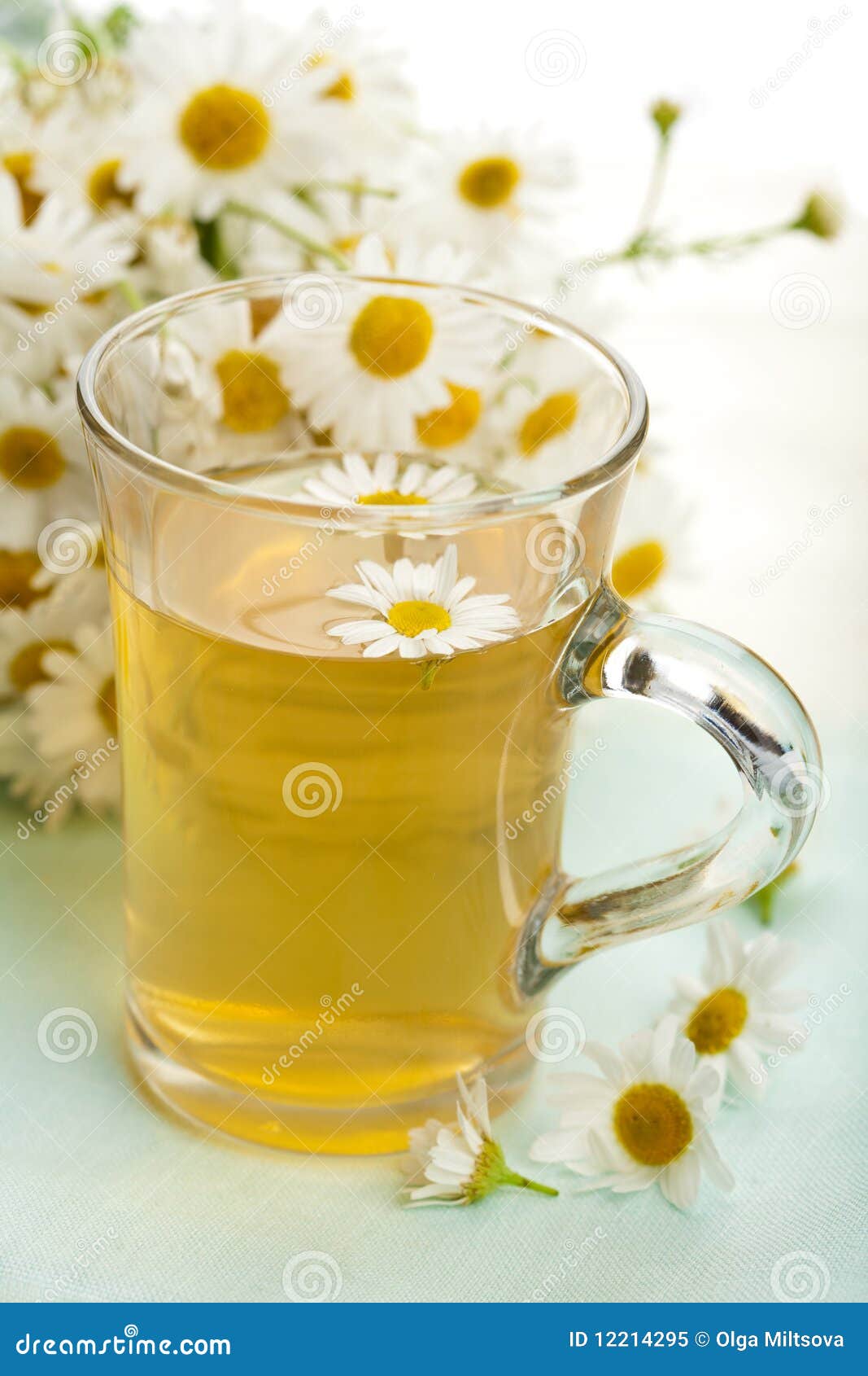 Cup of Herbal Tea with Chamomile Stock Image Image of healthy