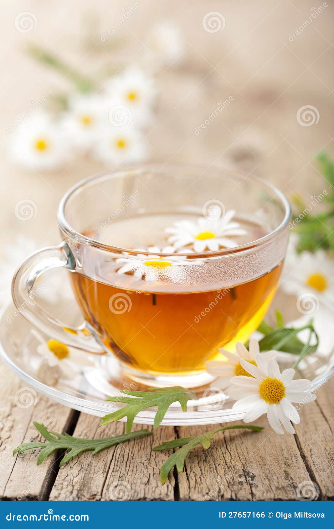 Cup of Herbal Tea with Chamomile Flowers Stock Photo Image of herb