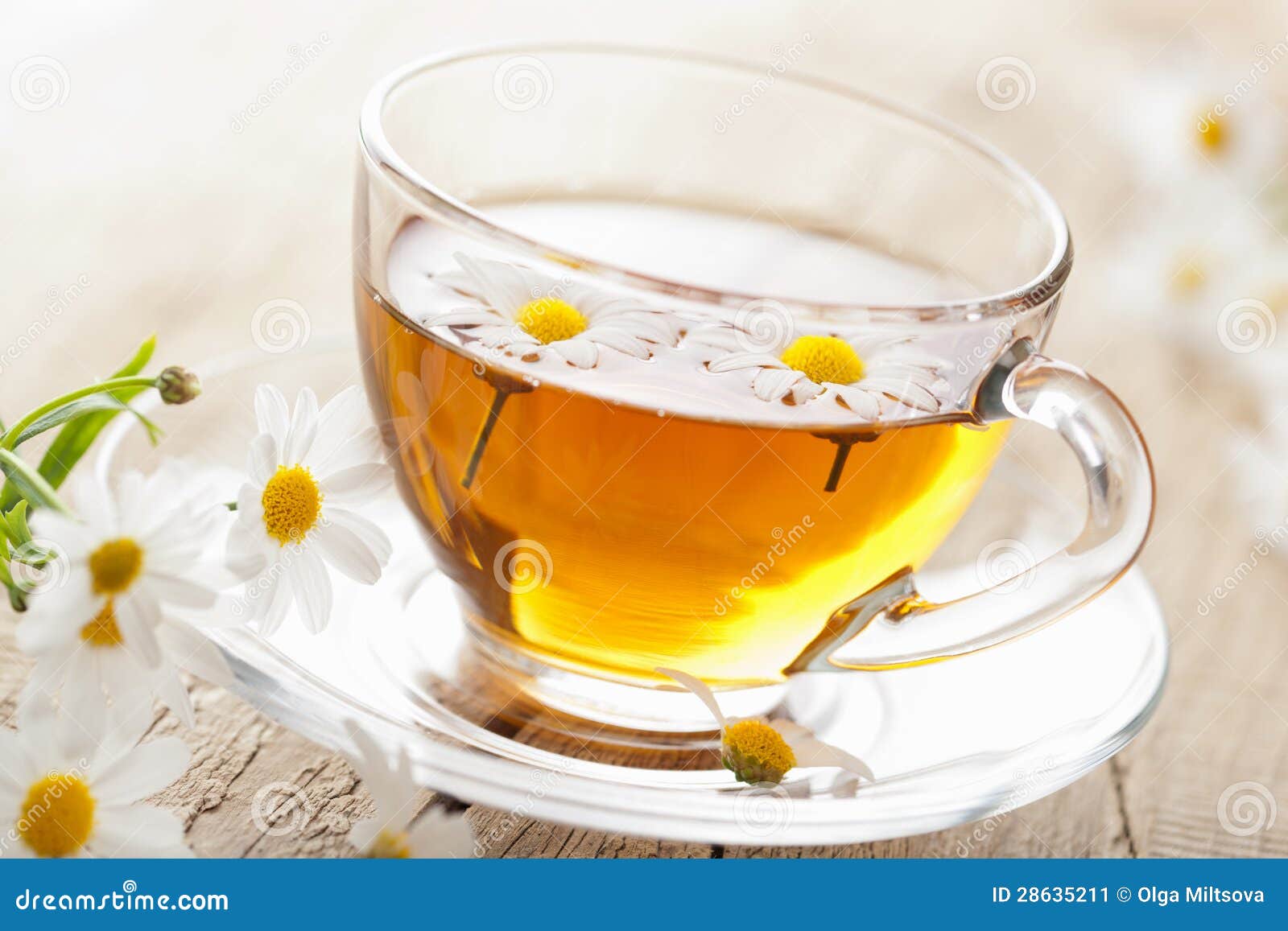 Cup of Herbal Tea with Chamomile Flowers Stock Image Image of glass