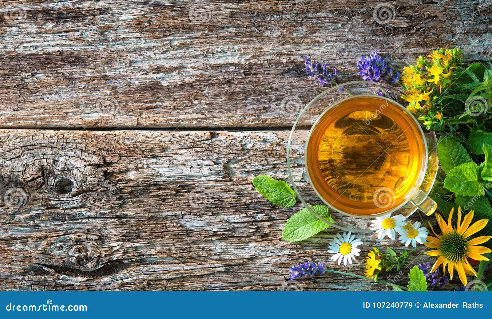 Cup of herbal tea stock image. Image of medicinal, health 107240779