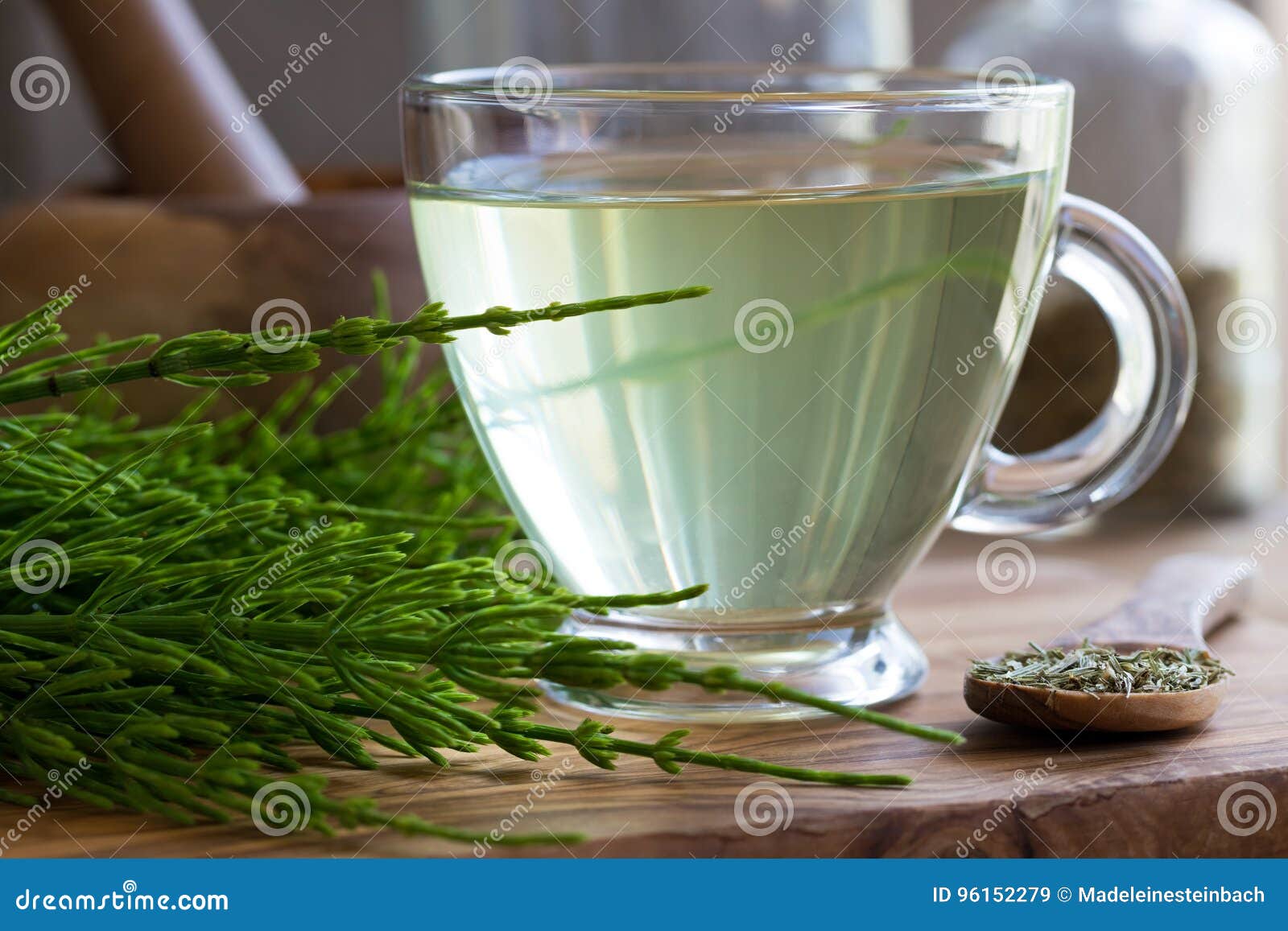 a cup of horsetail tea with fresh and dried horsetail