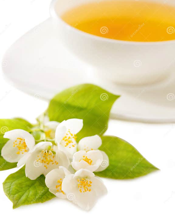 Cup of the jasmin tea stock photo. Image of isolated 30243738