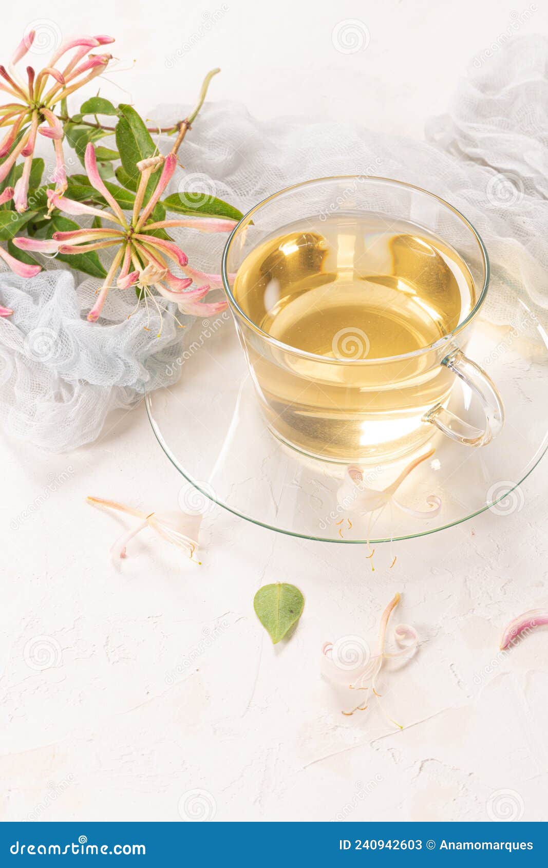 A Cup of Jasmine Tea and Jasmine Flowers on a White Background Stock Image Image of drink
