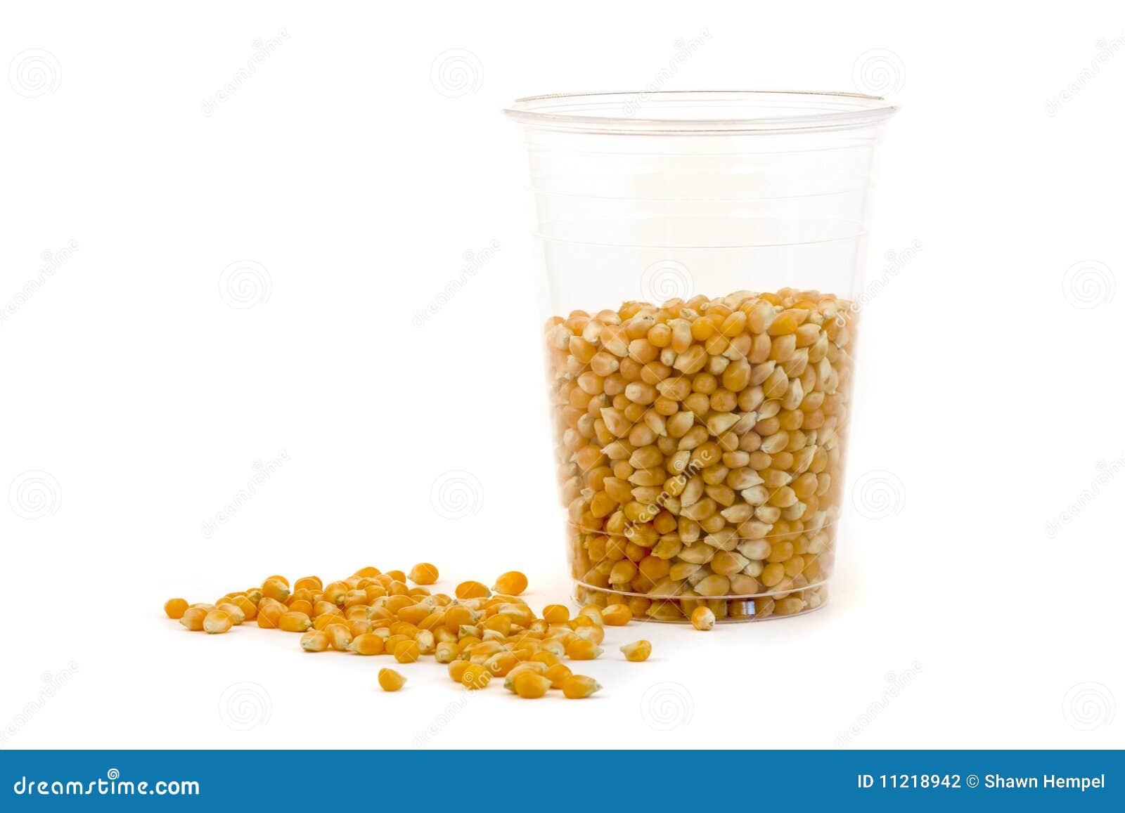 Cup made from corn stock photo. Image of maize, renewable 11218942