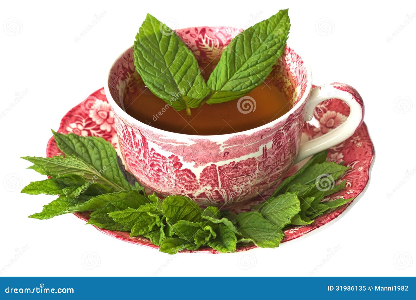 Cup of Peppermint Tea with Fresh Leaves Stock Image Image of