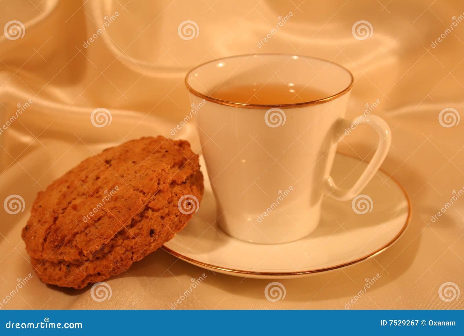 Cup of tea with biscuit stock image. Image of breakfast 7529267