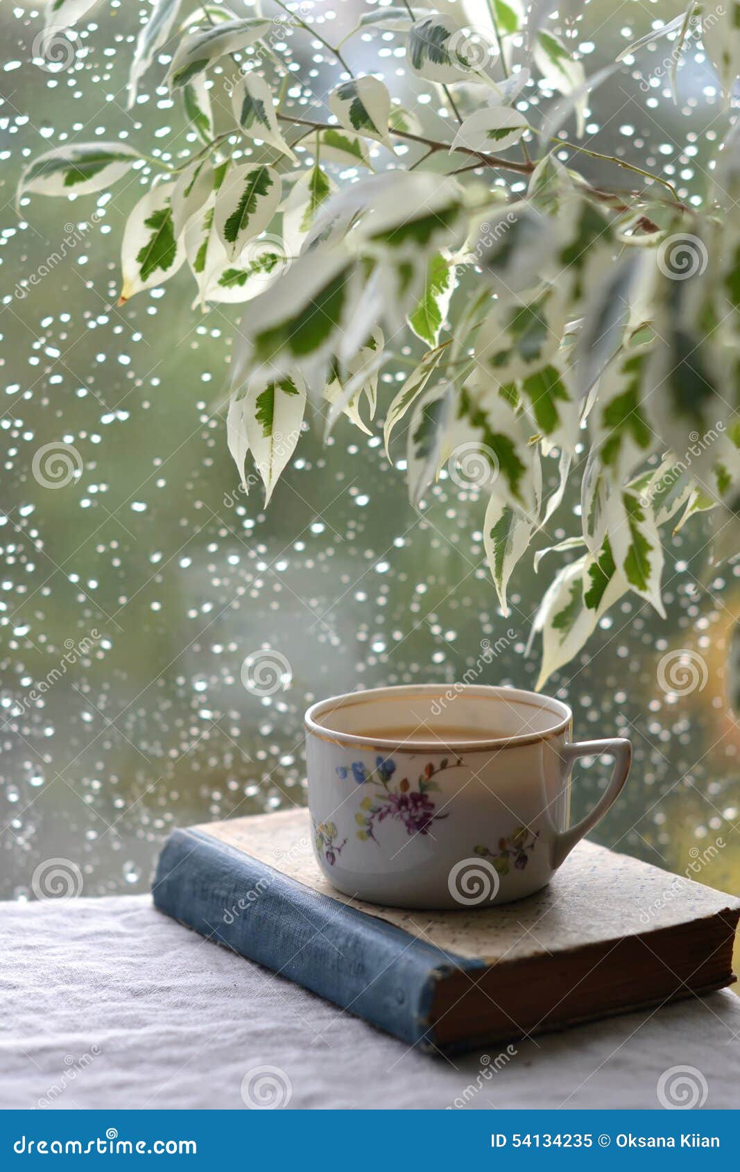 stylistic analysis a cup of tea Title: 'stylistic analysis of a cup of tea essay research paper stylistic analysis of a cup of tea introduction to be honest when i read the story i thought how. stylistic analysis a cup of tea Title: 'stylistic analysis of a cup of tea essay research paper stylistic analysis of a cup of tea introduction to be honest when i read the story i thought how.