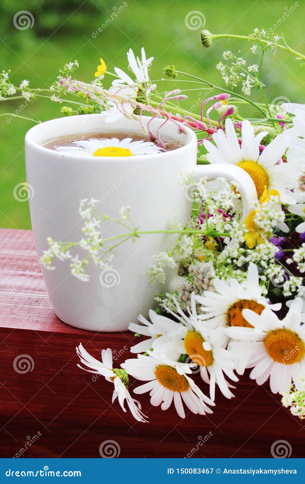 A Cup of Tea with Daisies Bouquet Stock Image Image of home, relax