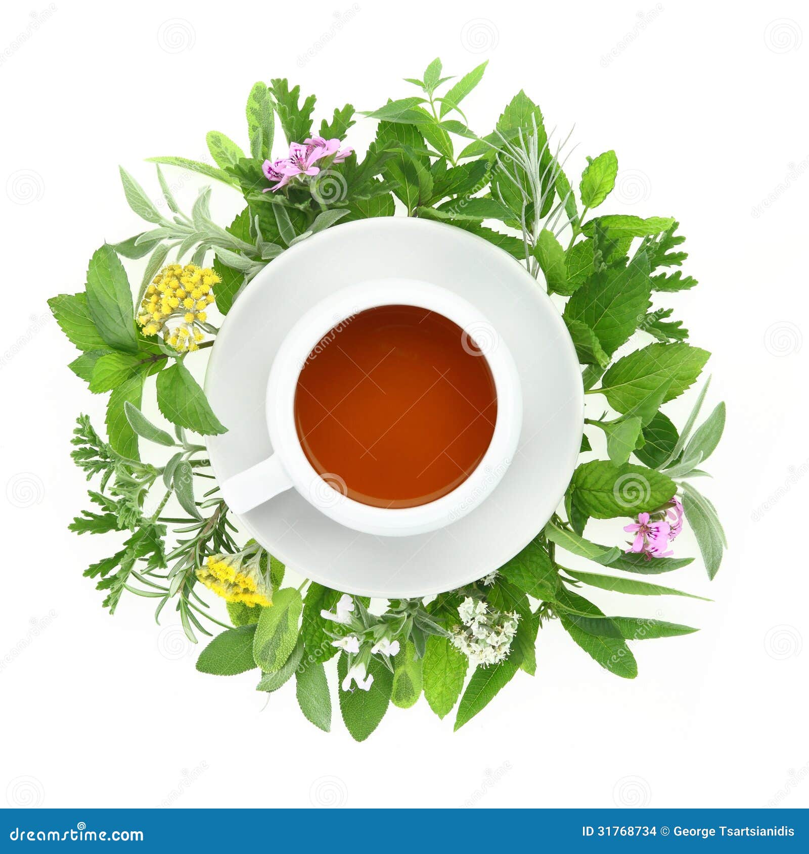 Cup of Tea with Fresh Herbs and Spices Stock Photo Image of drink