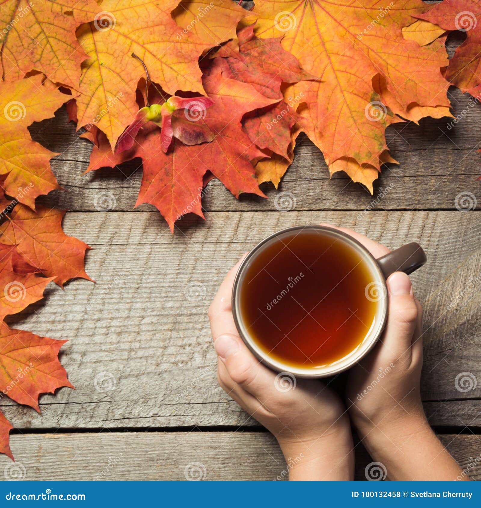 Cup Of Tea In Hand Colorful Autumn Leaves On Wooden Board - 