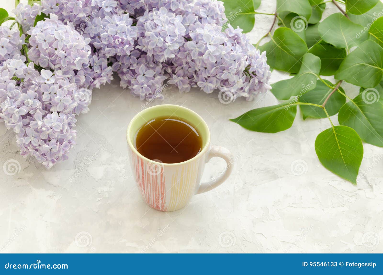 Cup of Tea with Lilac Flowers Stock Image Image of authentic, purple