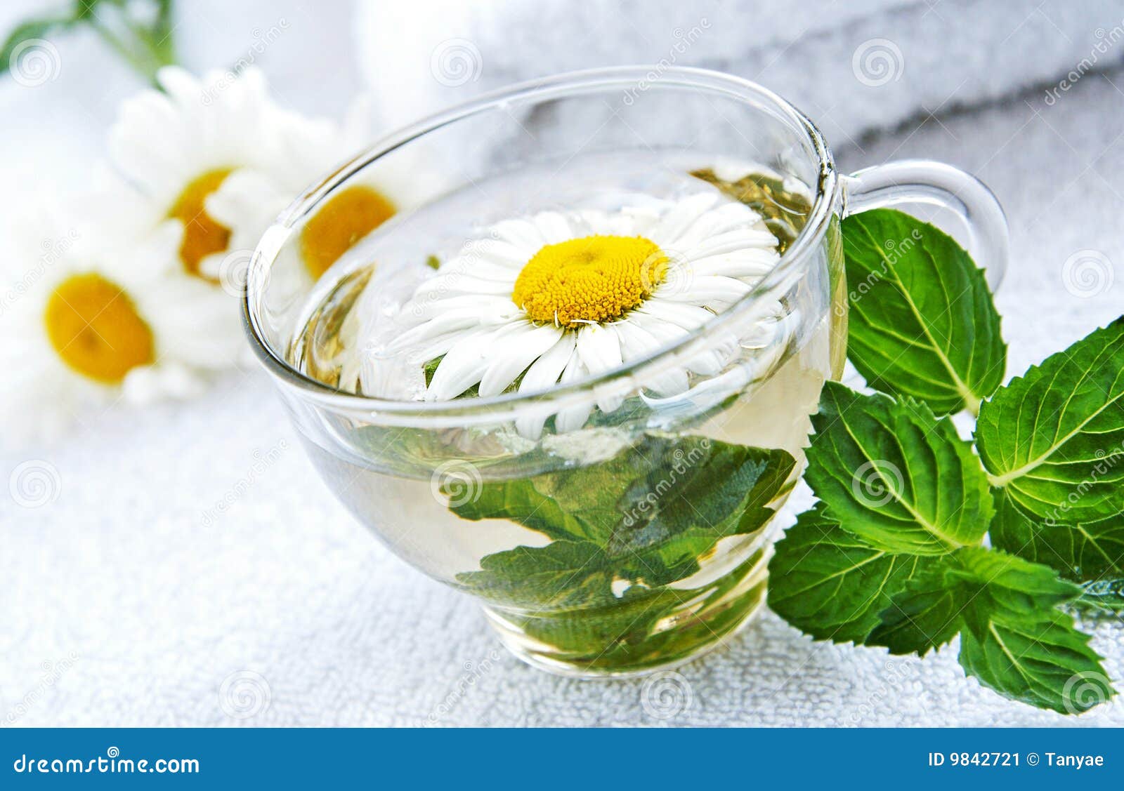 Cup of Warm Camomilemint Tea Stock Image Image of green, bath 9842721