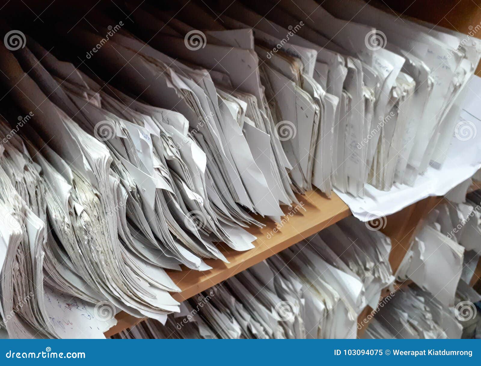 a cupboard full of paper files