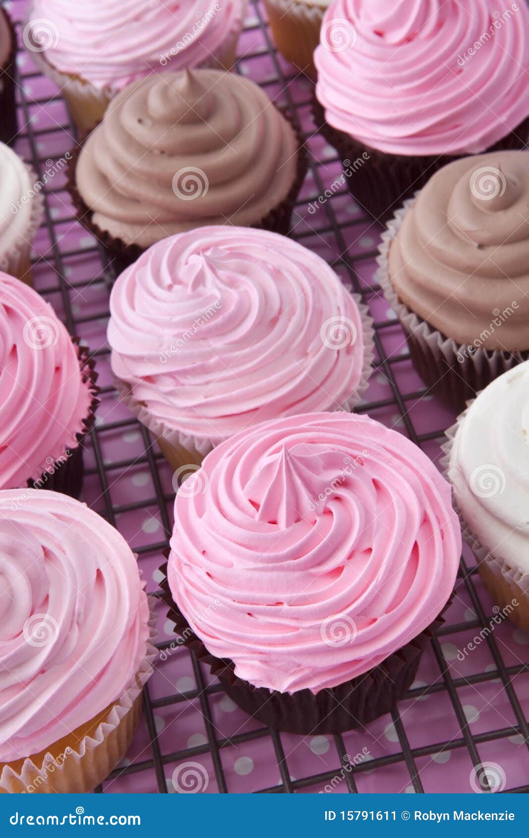 Cupcakes on Rack stock image. Image of pastel, iced, group 15791611