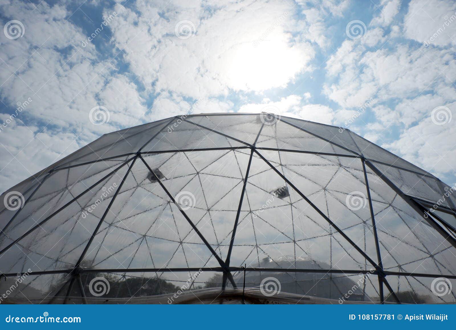 Cupola Di Plastica Geodetica Immagine Stock Immagine di albero, bello