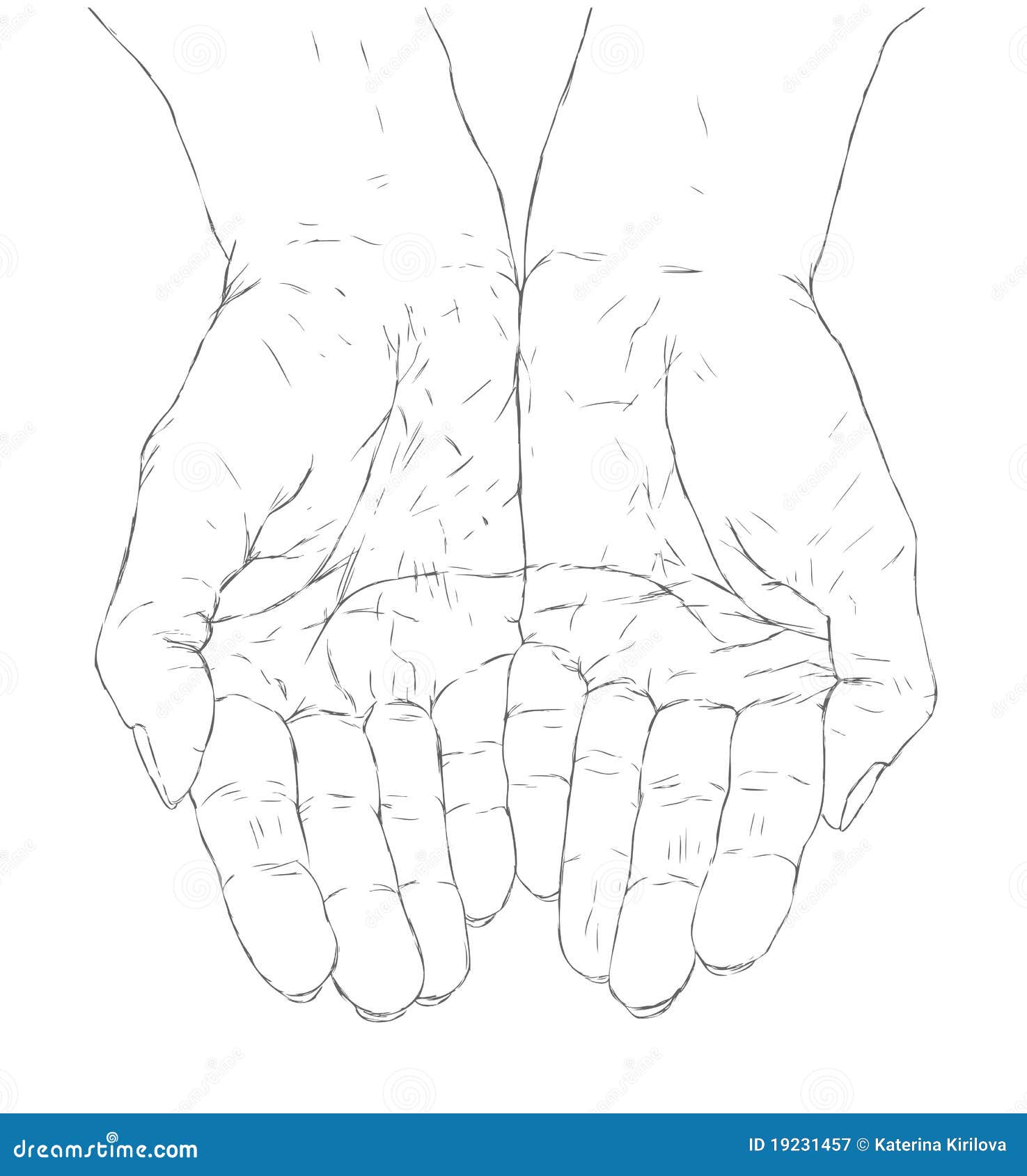 Cupped hands stock vector. Illustration of drawing, drawn - 19231457