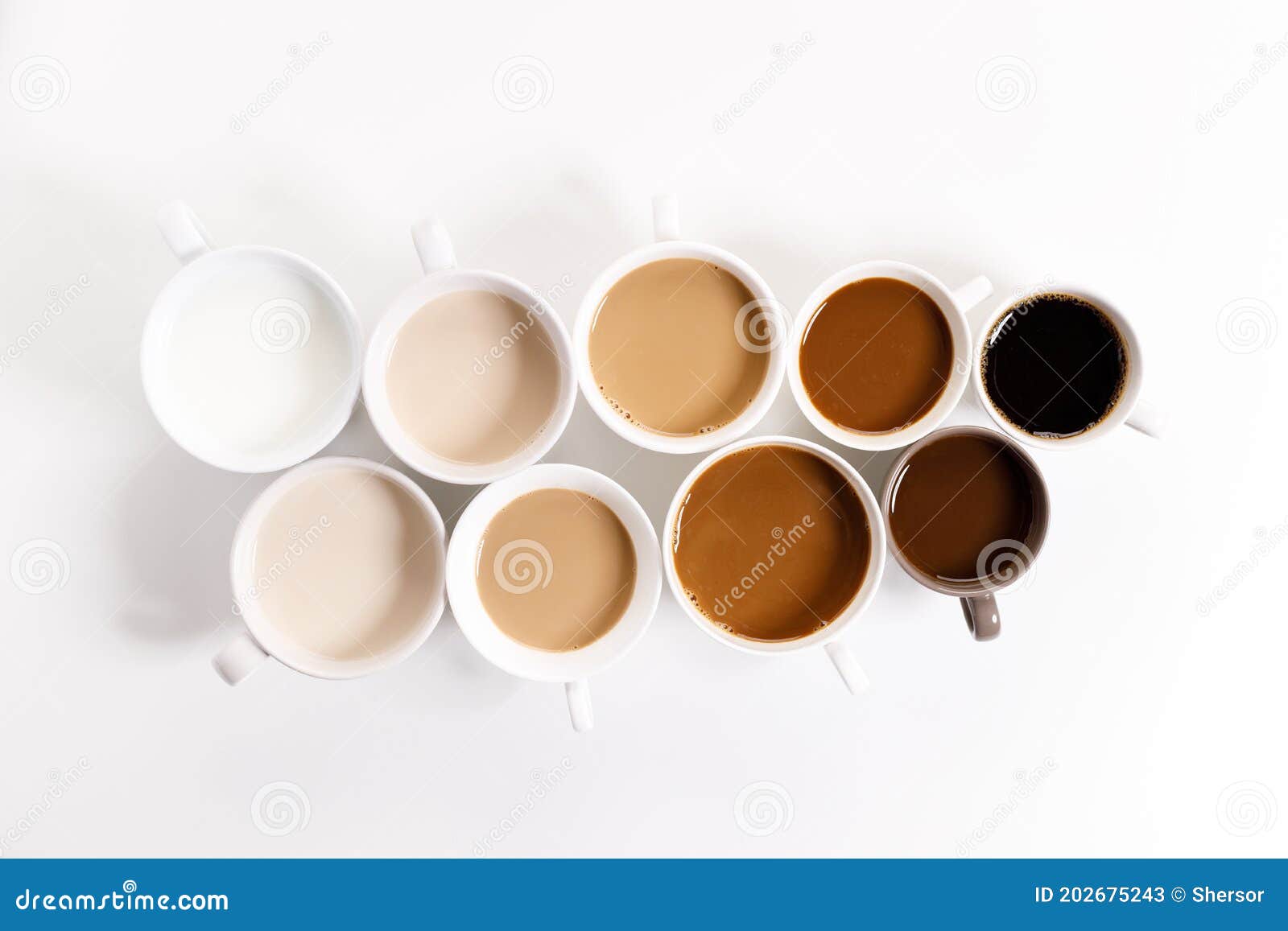 Cups of Coffee on White Background with Color Gradient of Coffee Stock ...